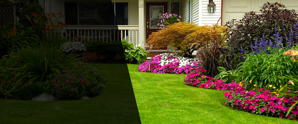 Minnesota Landscapers
