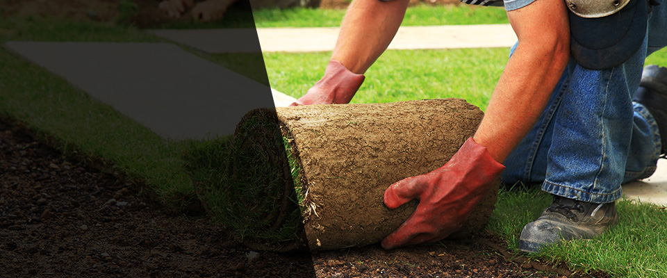 Minnesota Landscapers